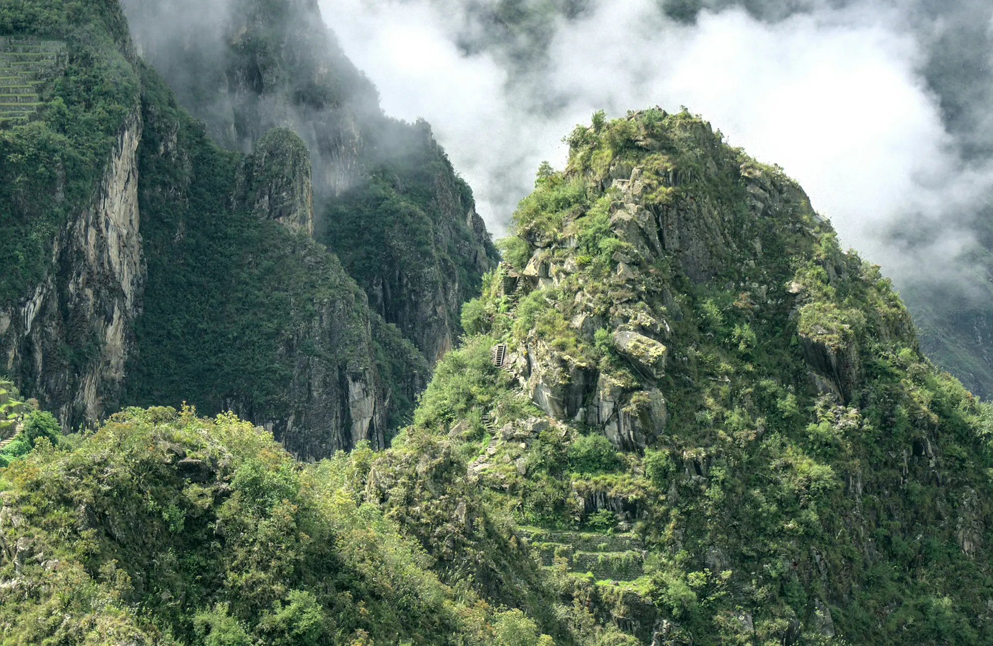 ニッポン・プロダクション・ペルーの映像コーディネート会社